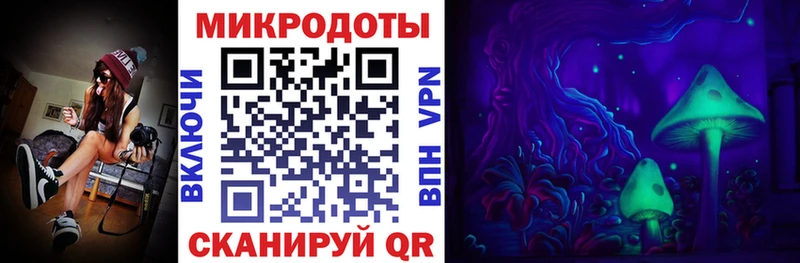 Псилоцибиновые грибы Cubensis  Купить  Козьмодемьянск 