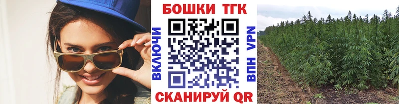Канабис OG Kush Козьмодемьянск